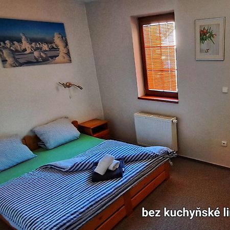 Penzion Sunski Hotel Harrachov Exterior photo